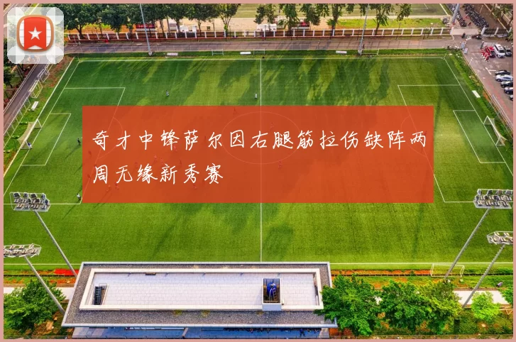 奇才中锋萨尔因右腿筋拉伤缺阵两周无缘新秀赛