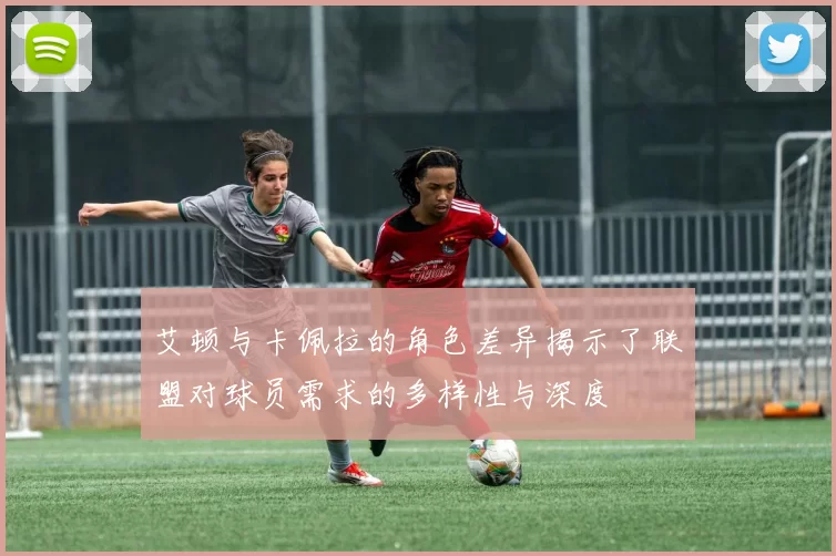 艾顿与卡佩拉的角色差异揭示了联盟对球员需求的多样性与深度